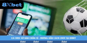 Cược số bàn chẵn/lẻ