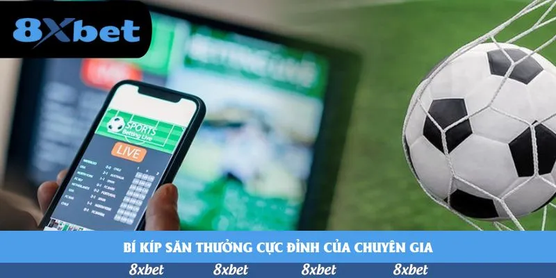 Bí kíp săn thưởng cực đỉnh của chuyên gia