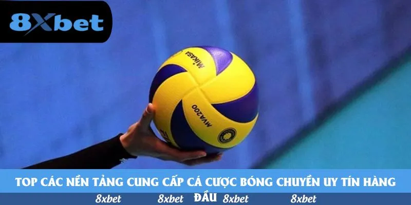Top các nền tảng cung cấp cá cược bóng chuyền uy tín hàng đầu