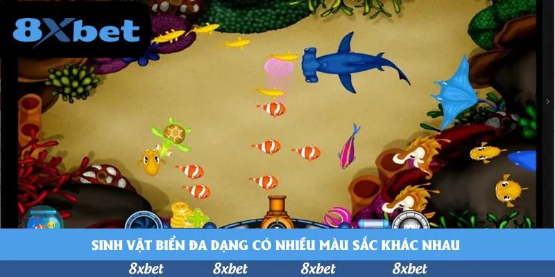 Sinh vật biển đa dạng có nhiều màu sắc khác nhau