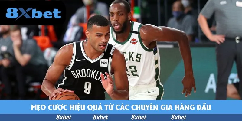 Mẹo cược hiệu quả từ các chuyên gia hàng đầu